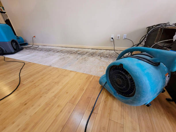 Professional Structural Drying technician working in Charlestown, NH